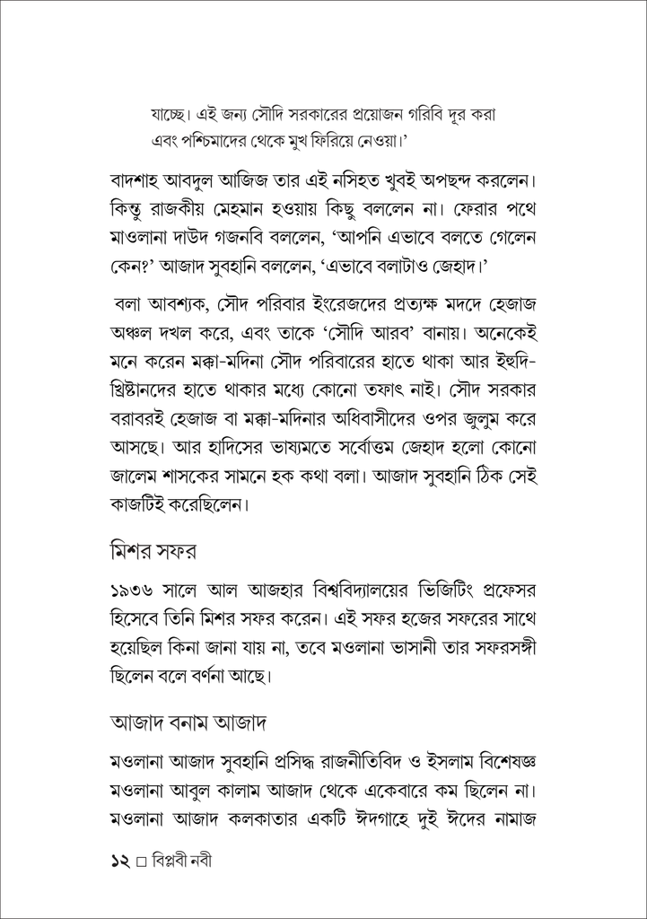 বিপ্লবী নবী12.jpg
