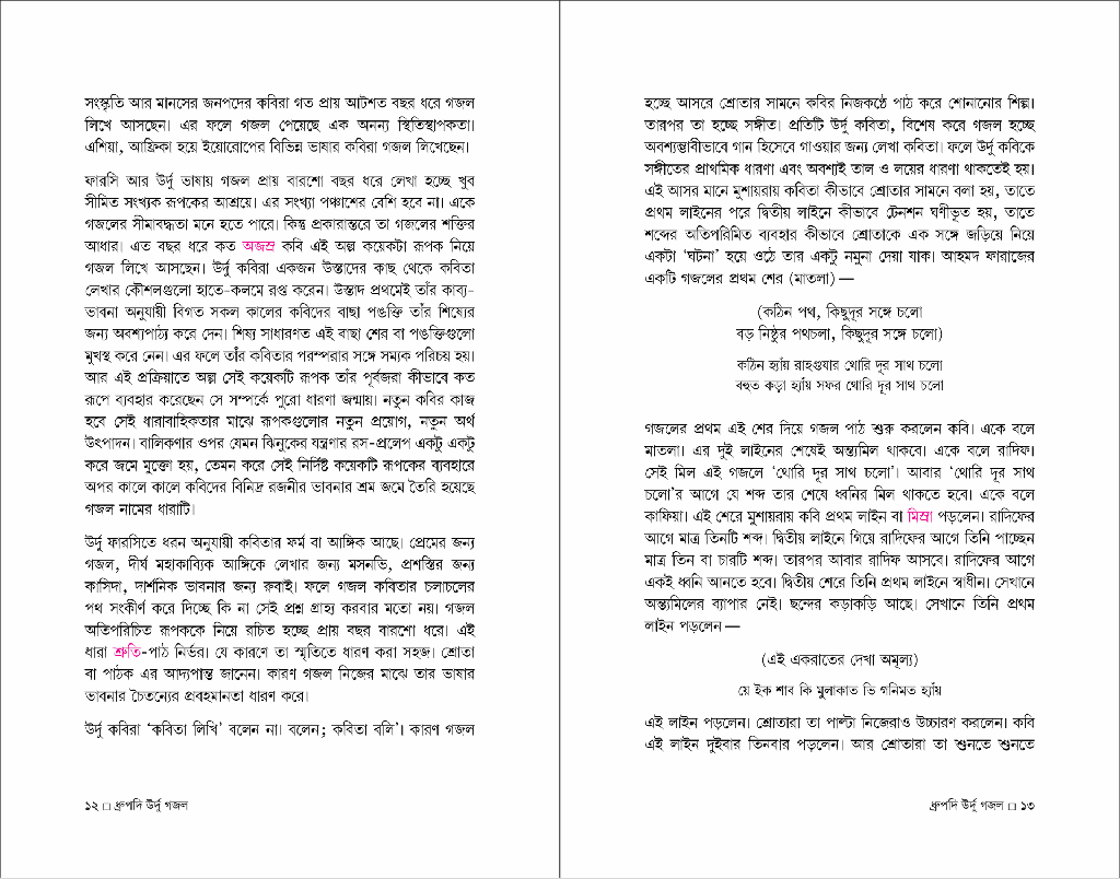 জাভেদ হুসেন উর্দু সিরিজ5.jpg