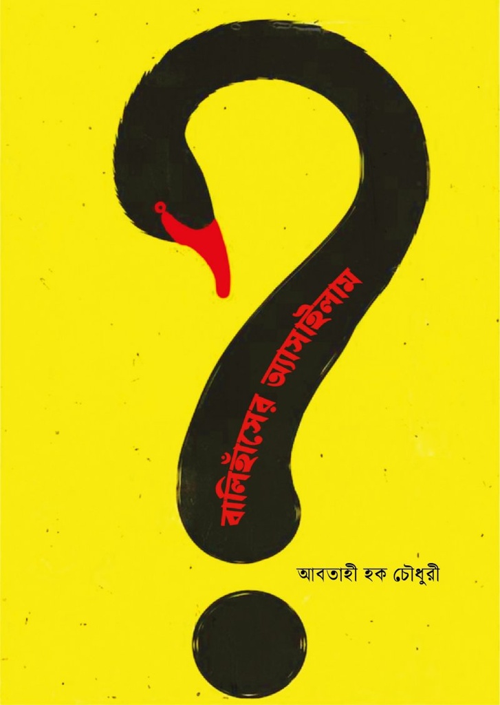 বালিহাঁসের অ্যাসাইলাম